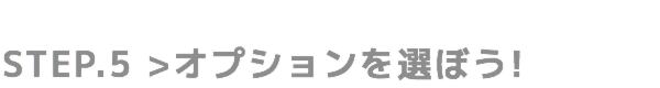 STEP.5 オプションを選ぼう!